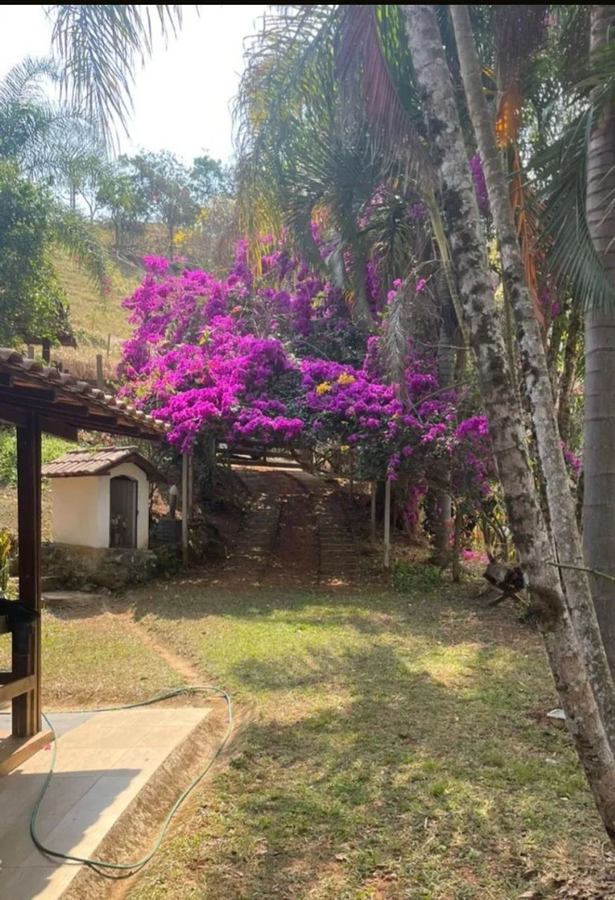 Fazenda / Sítios / Chácaras com 4 quartos à venda em Moeda - Foto 4