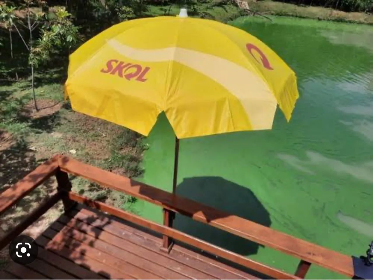 Guarda Sol Skol