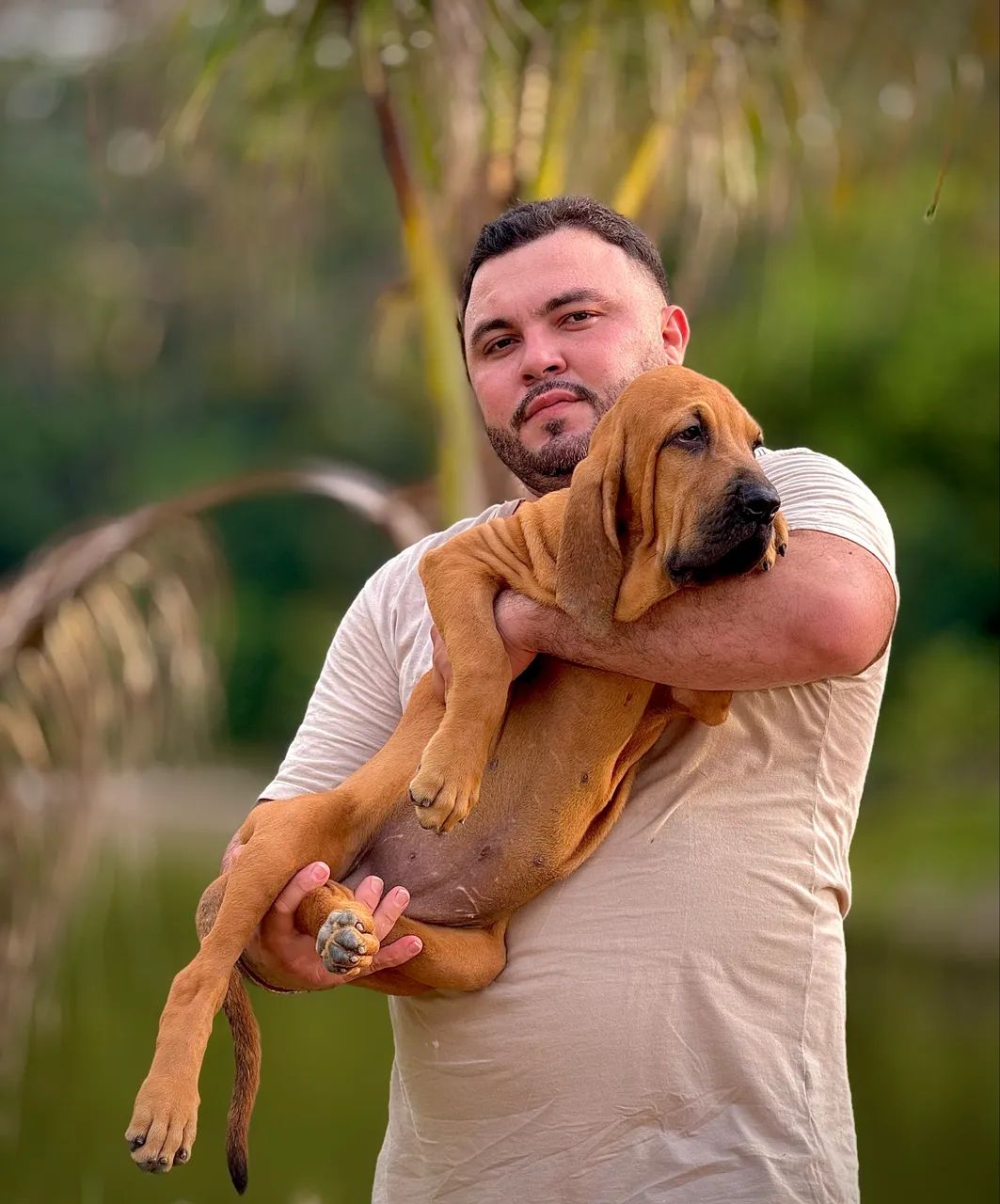 Filhote de fila brasileiro 