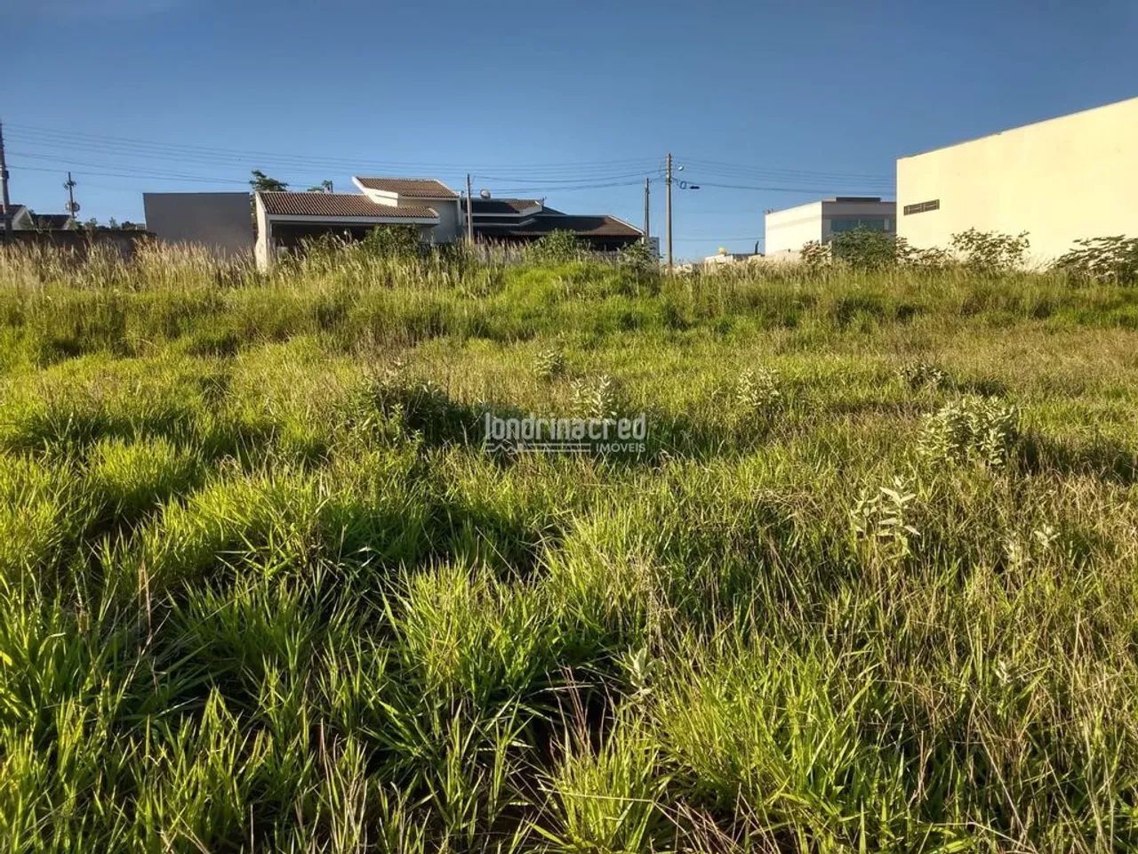 Terreno à venda 36000M², Centro, Jacarezinho - PR - Foto 4