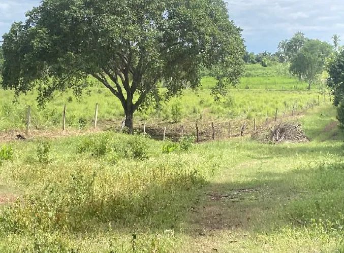 Imóvel em leilão - Foto 5