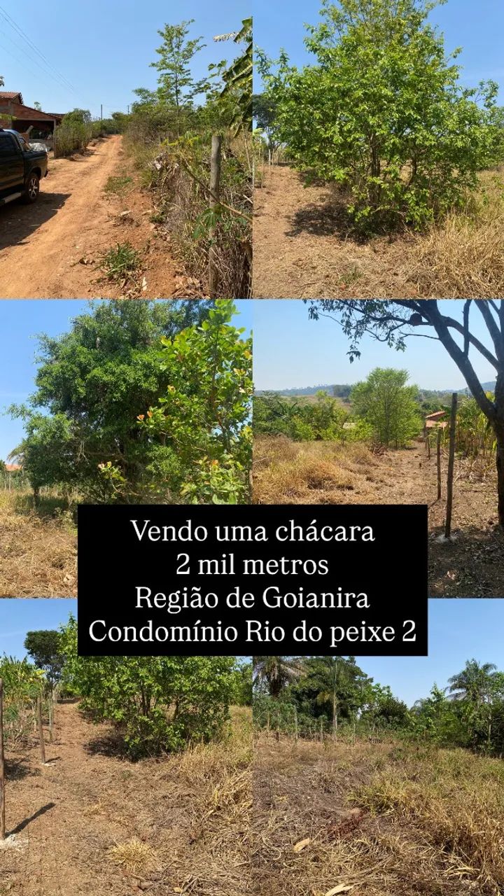 Foto - Goianira - 