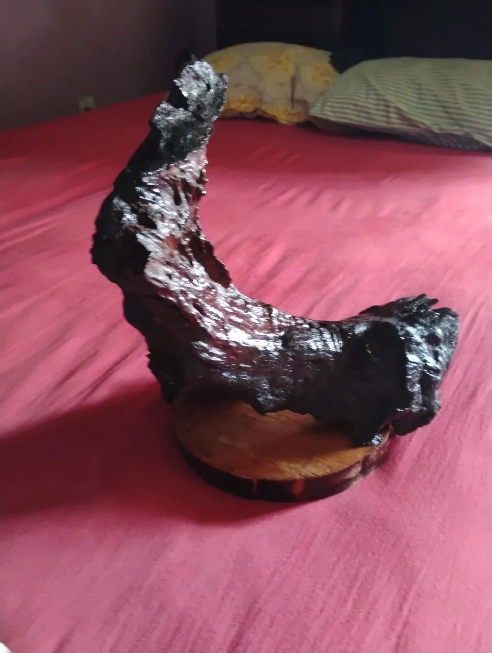 Arte rústica encantos das mata 