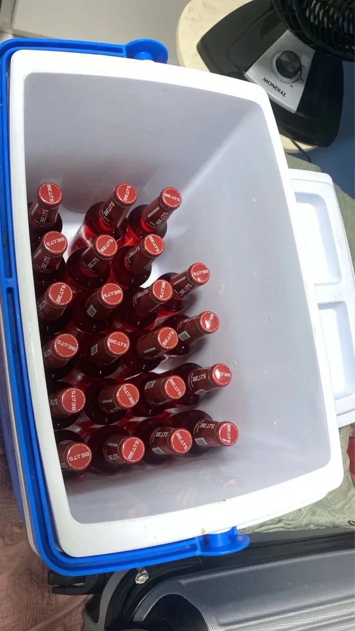 Cooler de gelo 