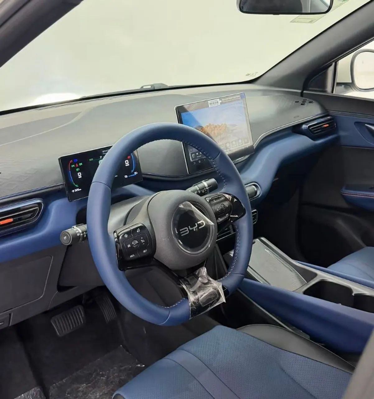 BYD Dolphin EV (Elétrico) 2024 - Foto 2