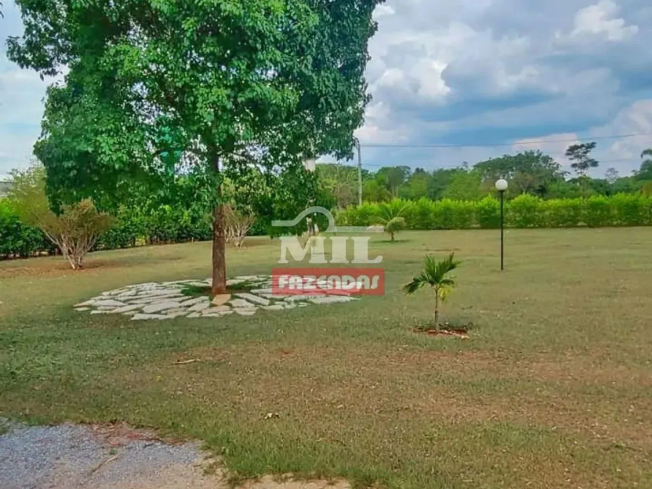 Chácara em condomínio 5000M² Goiânia - Go - Foto 4