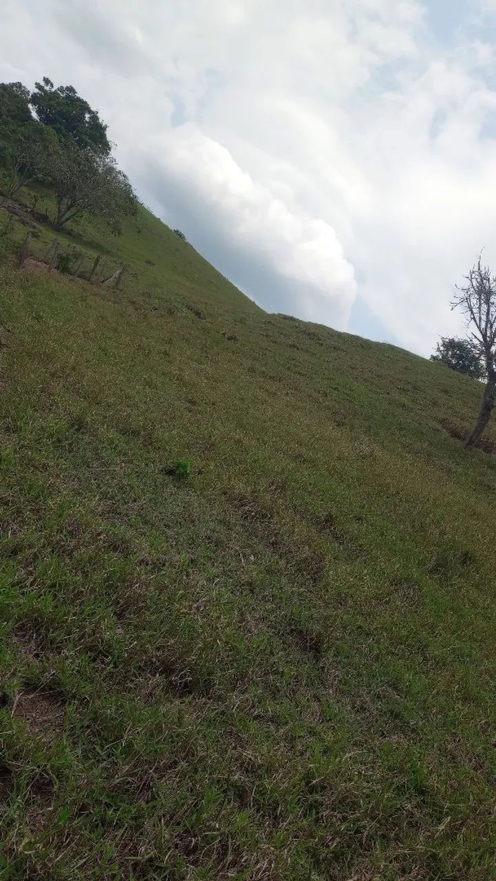 Terreno grande e barato com mina de água  - Foto 3