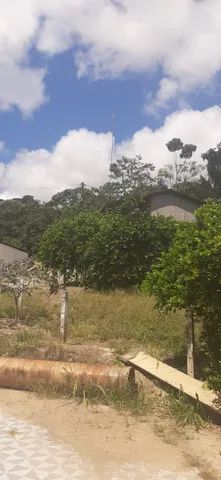 Um verdadeiro Paraíso! - Foto 3