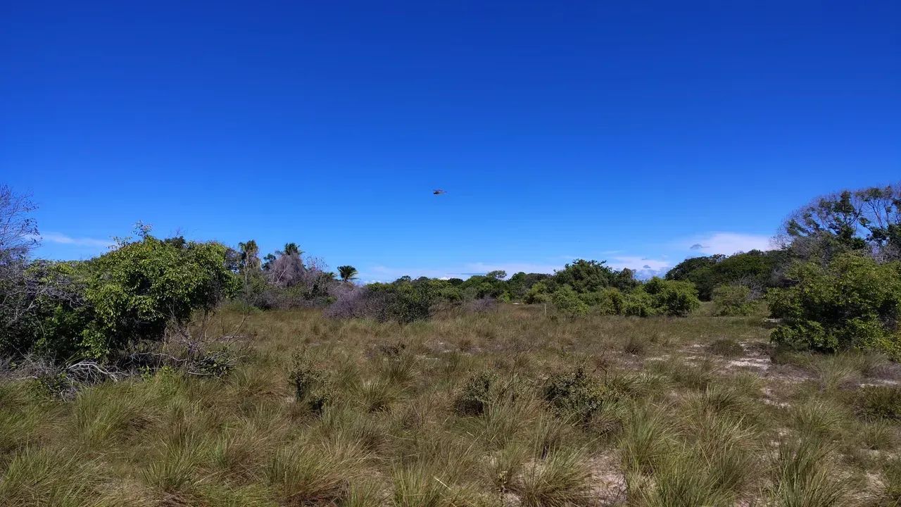 terreno lagoa tambaquis abais - Foto 5
