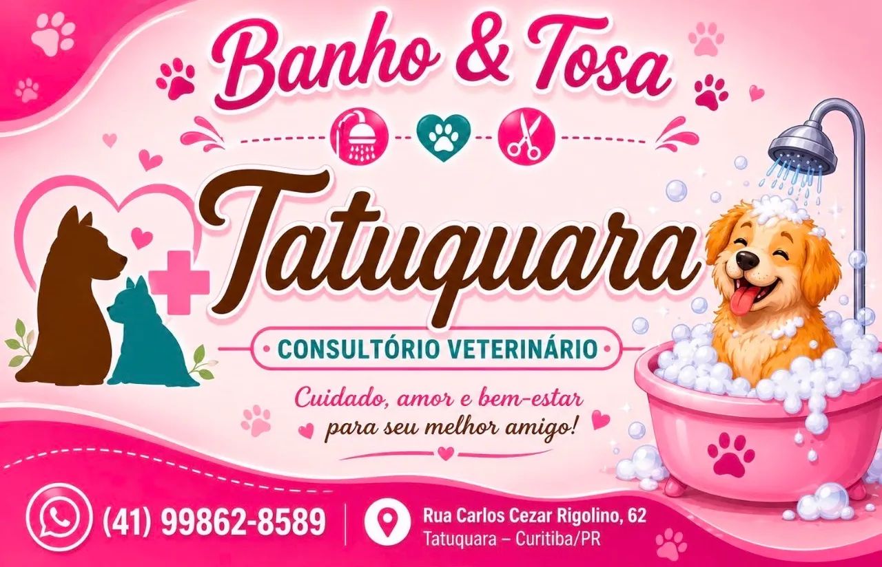 Banho e tosa no Tatuquara - Foto 3