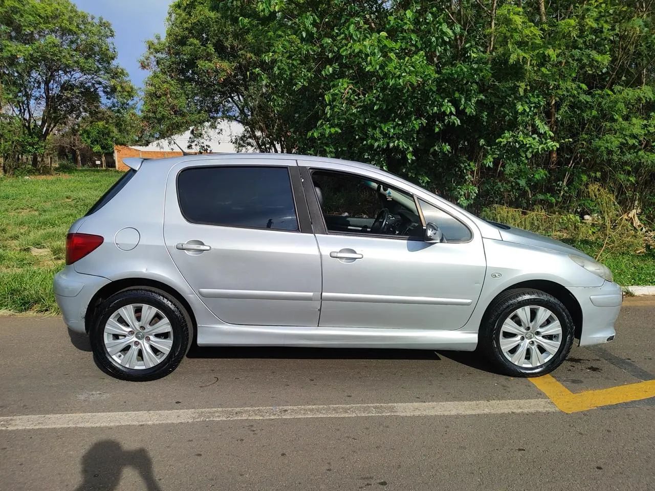 Peugeot 307 307 Feline/Griff/Premi. 2.0 Flex 5p Aut. 2007