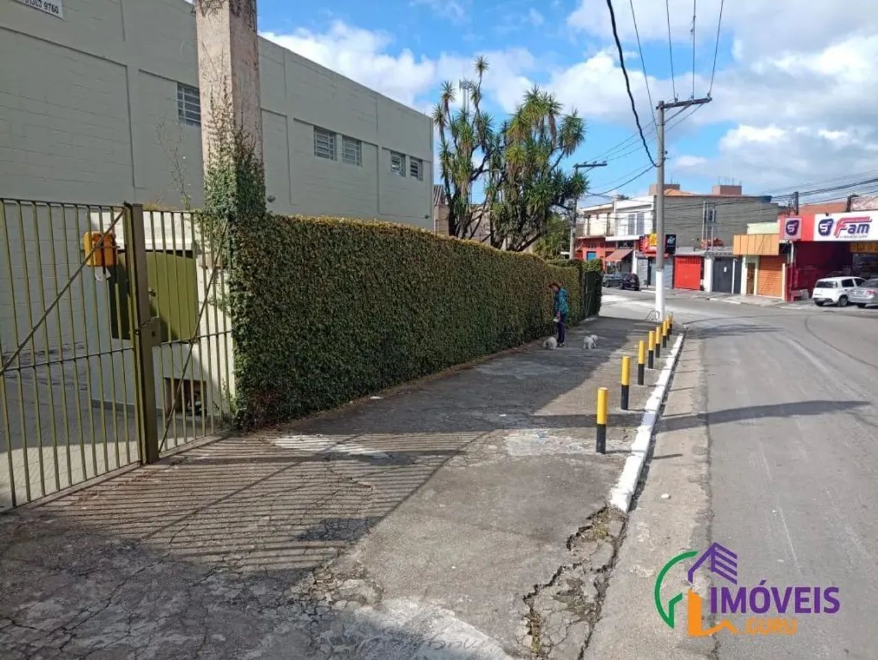 GALPÃO - CIDADE ADEMAR - SP - Foto 2