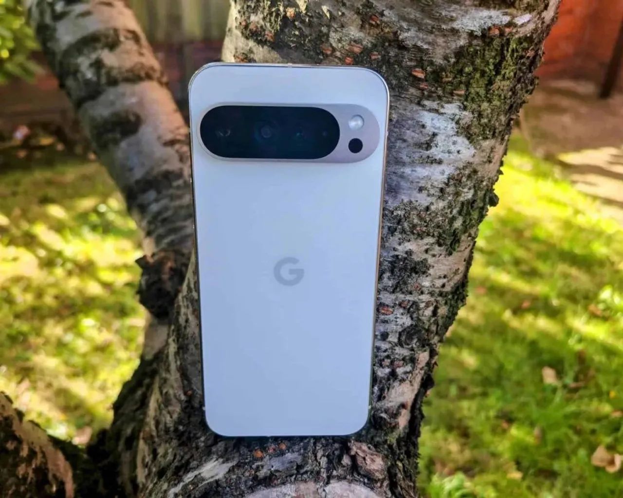 Google Pixel 9 Pro XL  - Foto 2