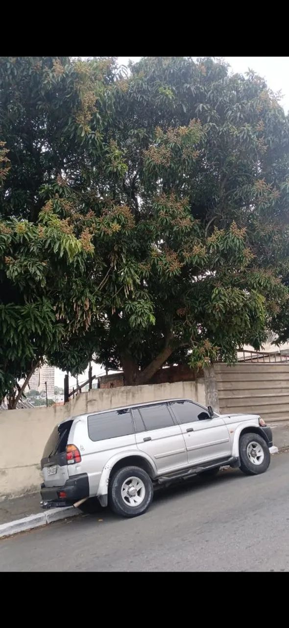 Mitsubishi Pajero PAJERO SPORT 3.0 4X4 V6 MEC./AUT. 2002