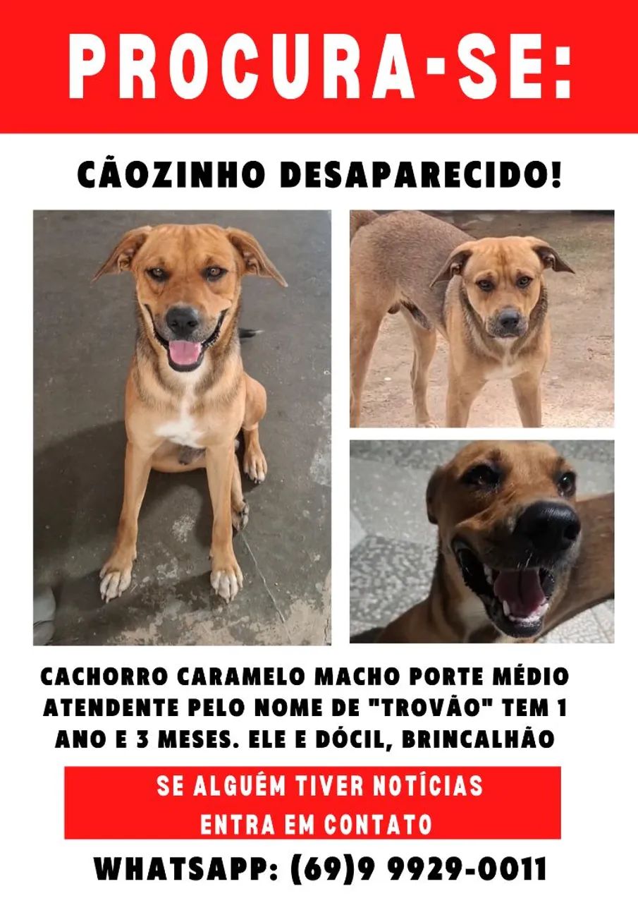 Perdido