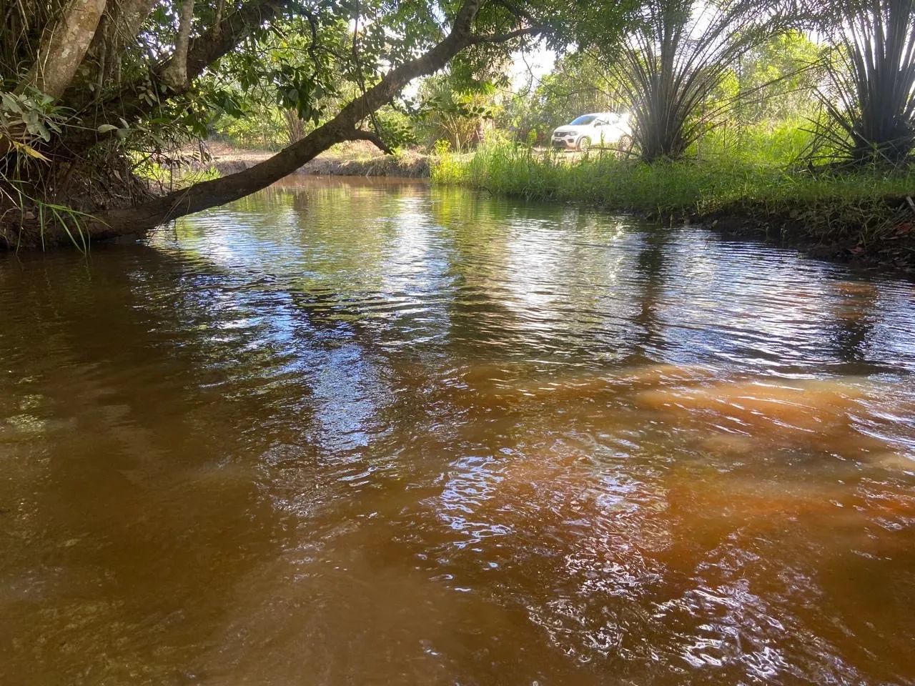 Sítio em Entre Rios - Foto 2