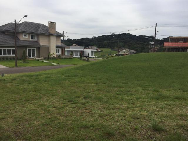 Terreno à venda, 810 m² por r$ 626.798,45 - centro - canela/rs - Foto 2