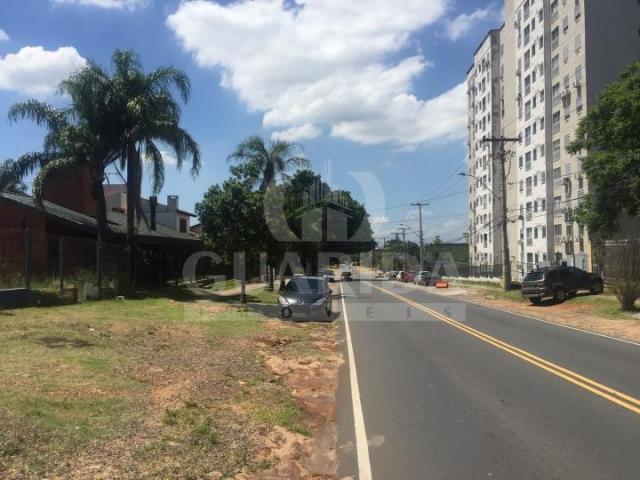 Terreno para alugar em Alto petropolis, Porto alegre cod:27598 - Foto 2