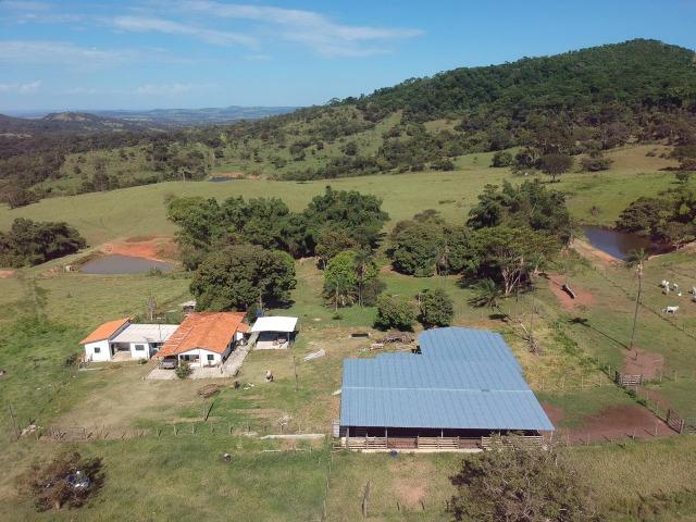 Fazenda 25 Alqueires ( 121 hectares )-Varjão-GO porteira fechada