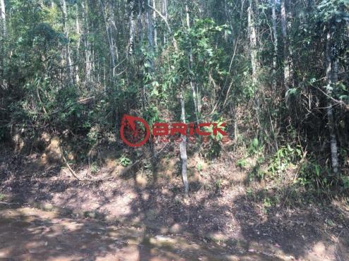 Terreno com 1210 m² em condomínio na prata. - Foto 2