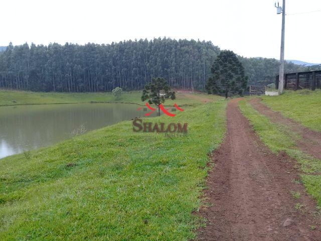 8051 | fazenda à venda em fazenda pinhão, pinhão