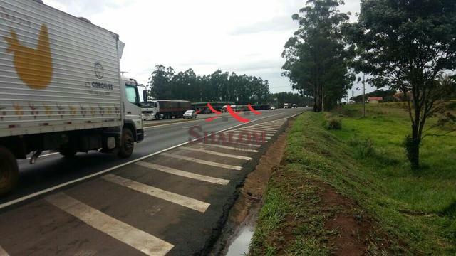 8051 | Terreno à venda em NÃO INFORMADO, NOVA ESPERANÇA - Foto 2