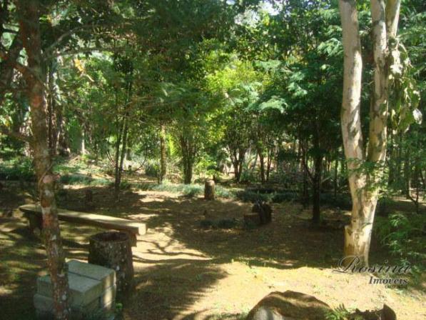 Linda chácara medindo 02 alqueires no rio sagrado em morretes. - Foto 3