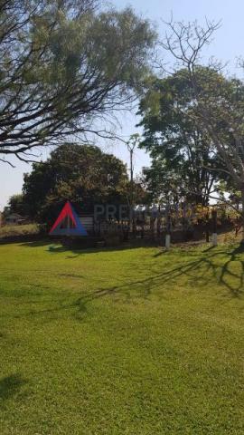 8042 | Sítio à venda em NÃO INFORMADO, MANDAGUAÇU - Foto 6