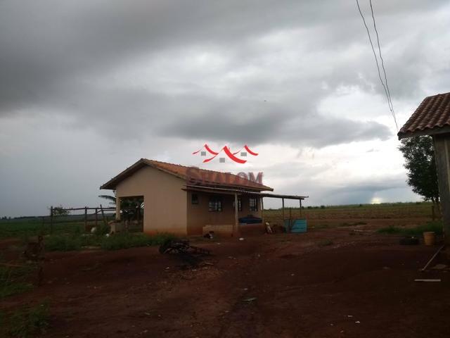 8051 | Sítio à venda em NÃO INFORMADO, ÂNGULO - Foto 6