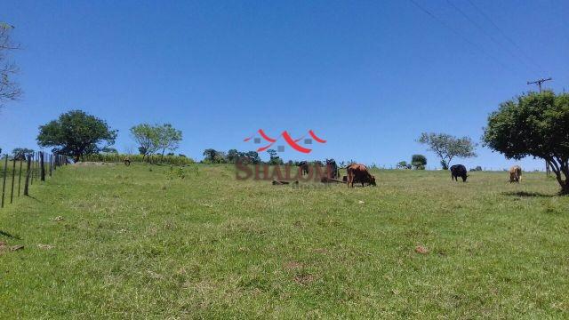 8051 | Chácara à venda em NÃO INFORMADO, IGUARAÇU - Foto 3