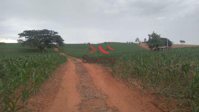 8051 | Sítio à venda em NÃO INFORMADO, SANTO INÁCIO - Foto 9