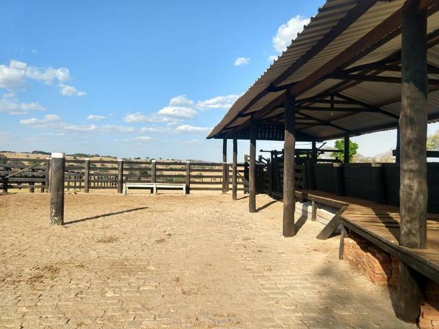 Fazenda Inhumas - Foto 14