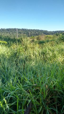 Imperdível vendo excelente Fazenda em Bom Jardim-Ma - Foto 8