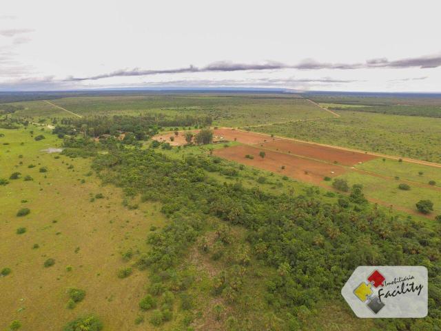 Linda Fazenda estruturada em João Pinheiro MG - Foto 9