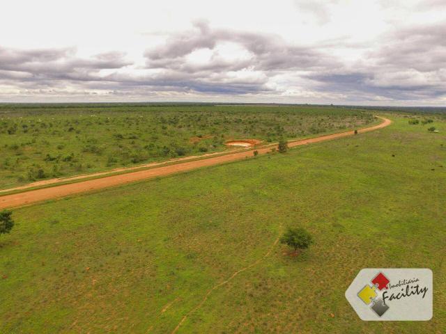 Linda Fazenda estruturada em João Pinheiro MG - Foto 6