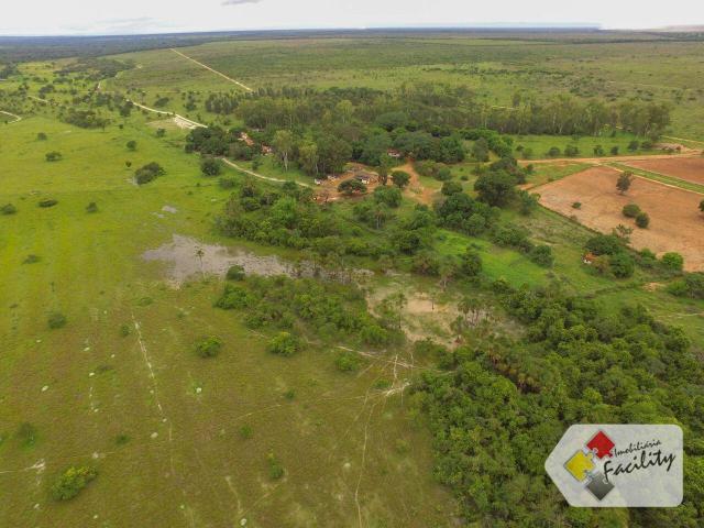 Linda Fazenda estruturada em João Pinheiro MG - Foto 5