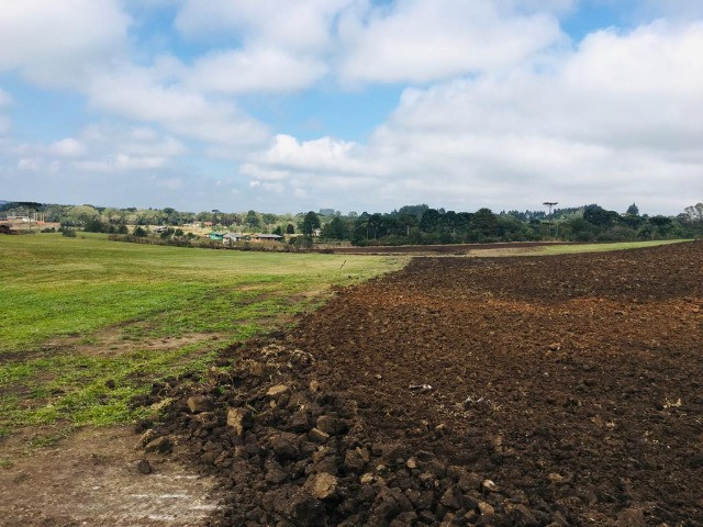 Área Rural em São José dos Pinhais - Foto 9