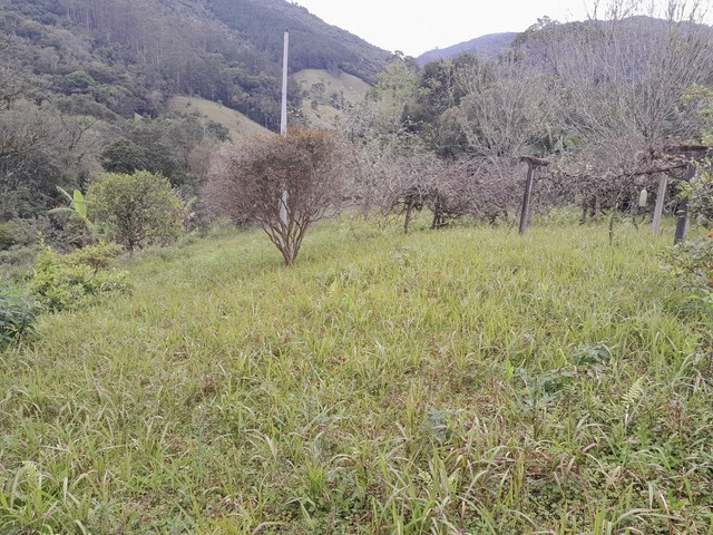 Sítio Angelina, Betânia 34ha - Foto 5