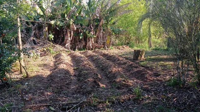 Sitio para moradia excelente localização  - Foto 4