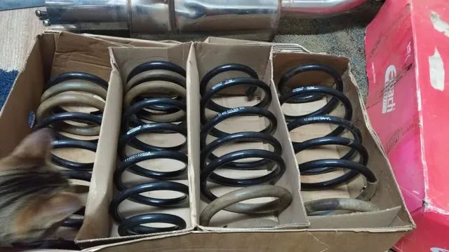 Molas eibach ,catback, aerofólio abs mugen, larternas altezza,new civic g8 - Foto 5