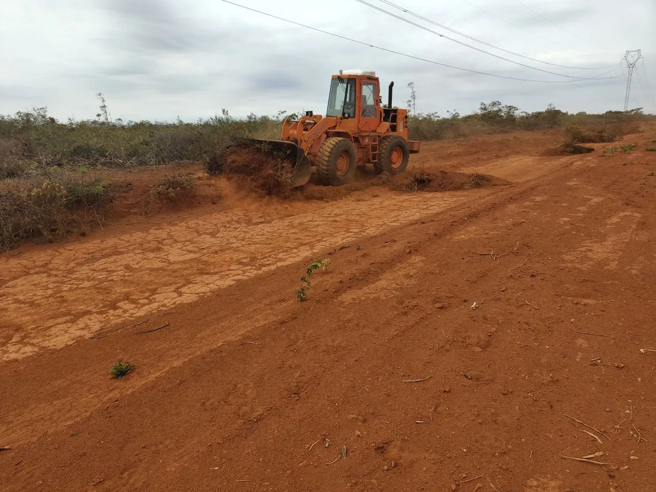 VENDA OU ARRENDAMENTO DE 60HECTARES, COM 1.100M DE ALTITUDE!! - Foto 2