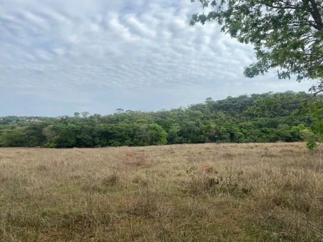 Chácara de 20.000 m² toda cercada, com riacho nos fundos, Jaboticatubas. - Foto 3