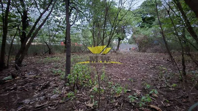 EXCELENTE TERRENO EM CASCADURA !
