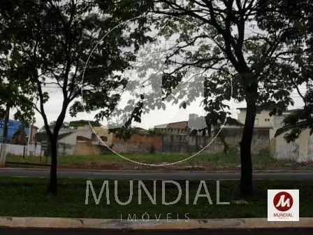 Terreno (terreno normal) - Foto 3