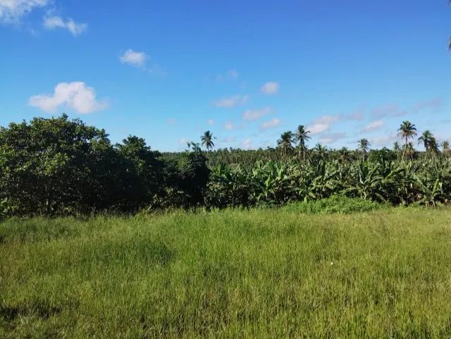 Sítio em Punaú - Rio do Fogo/RN - Foto 4