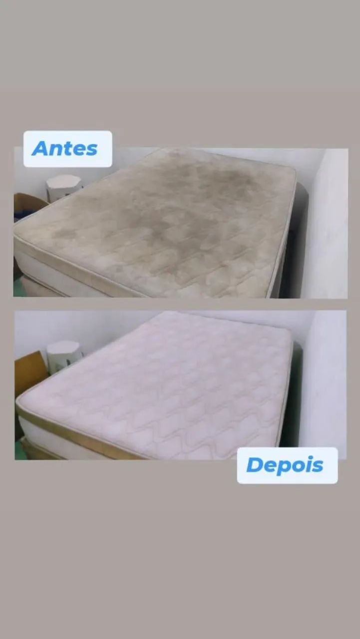 Lavagem a seco e higienização  $100 - Foto 5