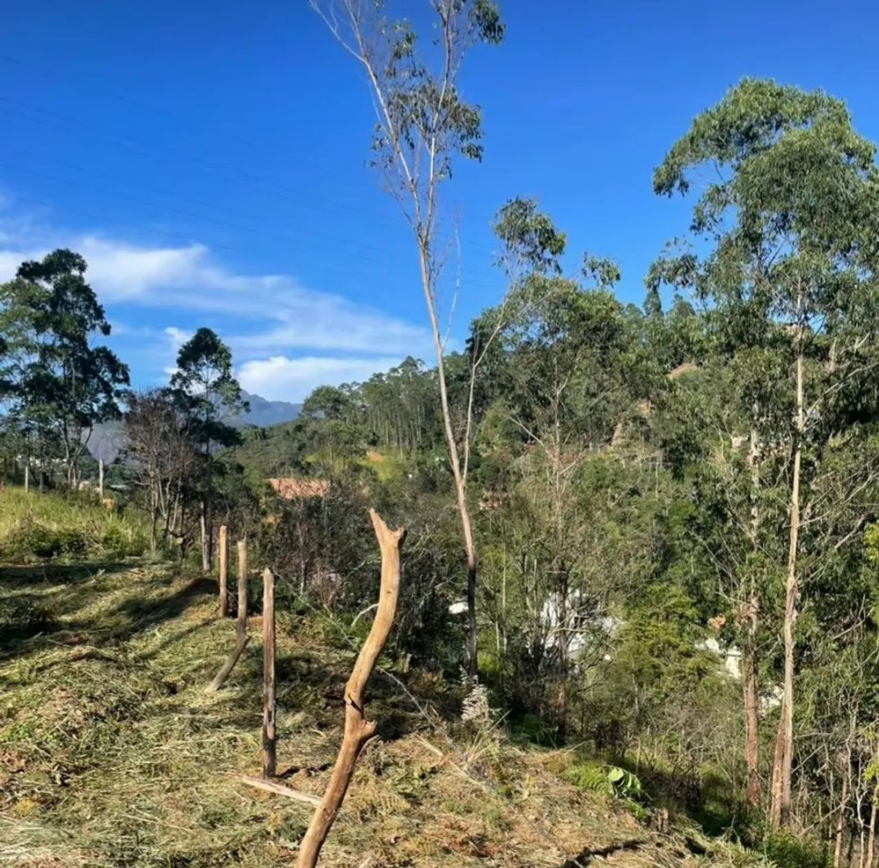 Terreno na praça da Forunfa  - Foto 5