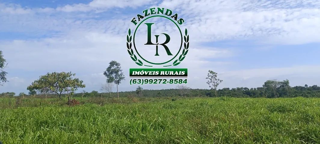 Fazenda 18 Alqueires Próximo a Palmas - Foto 2