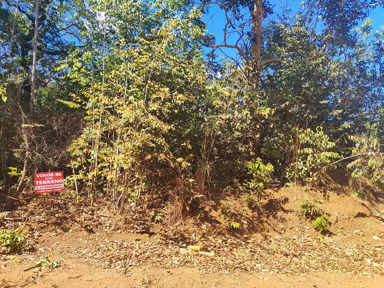 TERRENO DO CONDOMÍNIO TERRAS DE CANNA SAIDA PRA LAJEADO