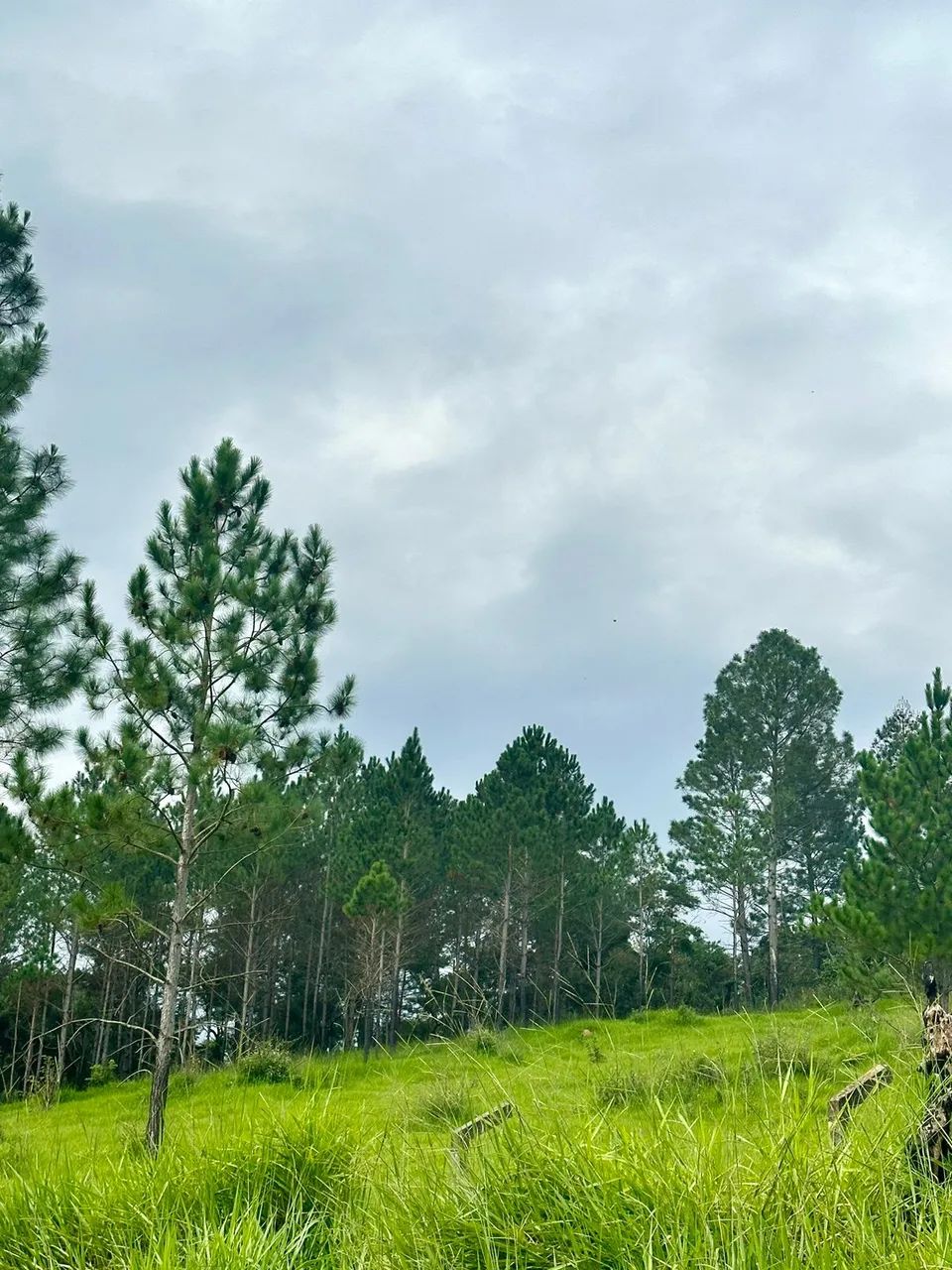 Recanto do Sábia: Lotes de 1.000m² com Vista Maravilhosa e Acesso Fácil! - Foto 8